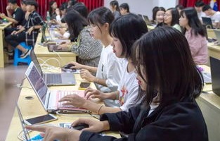 大学生电子商务专业学习