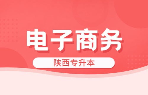 电子商务属于啥大类专业