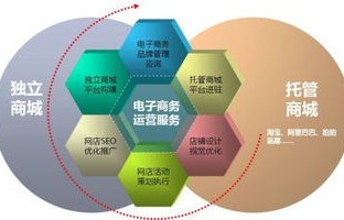 电子商务专业大类和类别