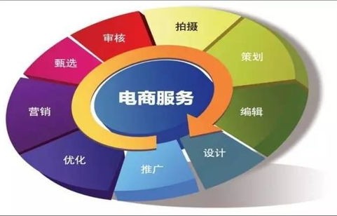 电子商务与技术支持专业