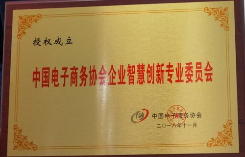 上海大智慧电子商务专业