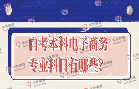 电子商务专业的课程多吗