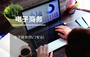 电子商务专业三年目标