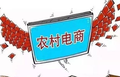 聚鑫专业洗护电子商务