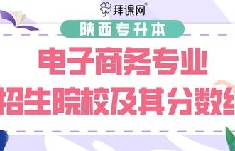 招电子商务专业的单招