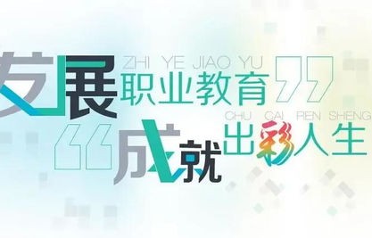 电子商务专业主要是干嘛