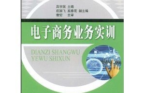 电子商务专业的实训总结