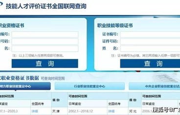 电子商务师对口专业查询