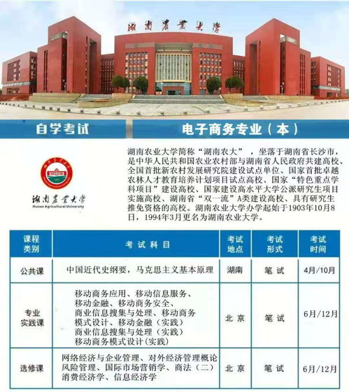 电子商务专业能考硕士吗