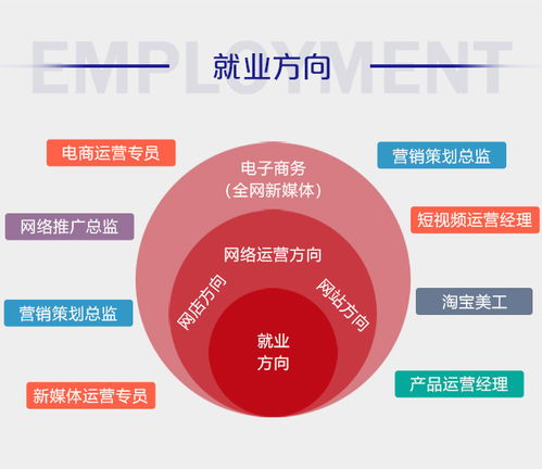有哪些是电子商务专业的