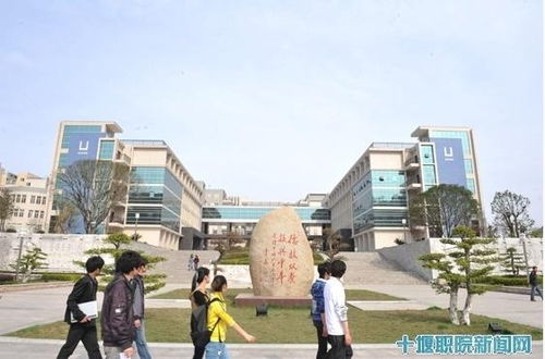 湖北电子商务专业单招