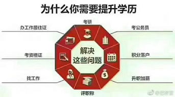 成人电子商务专业课程