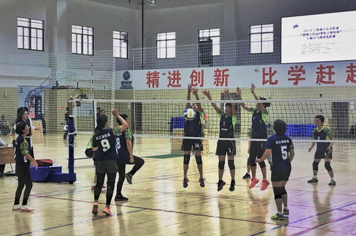 虹口区专业电子商务价钱