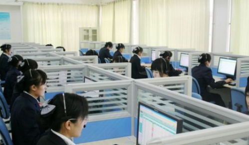 电子商务及法律专业人才