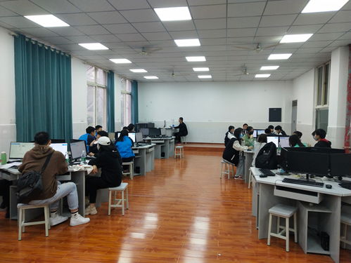 中专电子商务专业技能