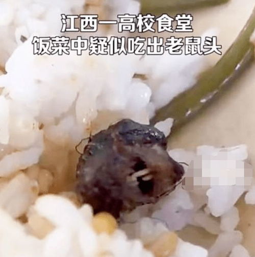 男子误食罕见毒蘑菇，死神降临后不舍丢弃，终入ICU